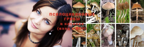 тгк Богородицк
