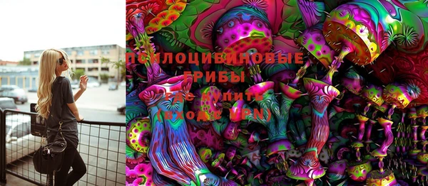 дживик Арсеньев