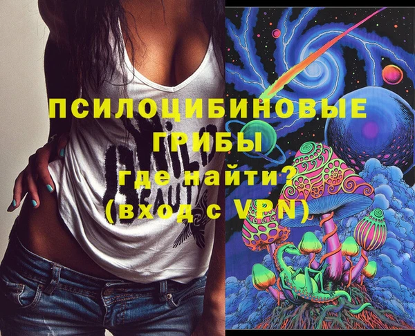 эйфоретик Богданович