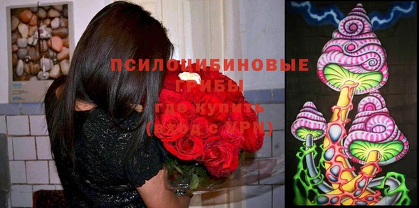 тгк Богородицк
