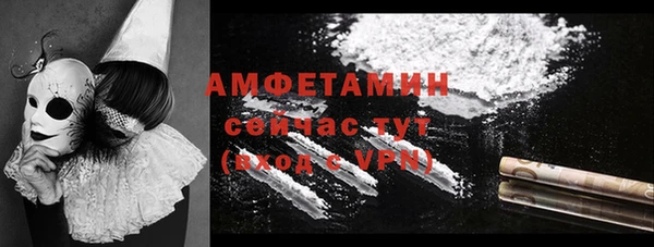 эйфоретик Богданович