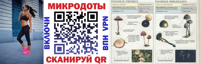 Псилоцибиновые грибы MAGIC MUSHROOMS  где купить наркоту  Пересвет 